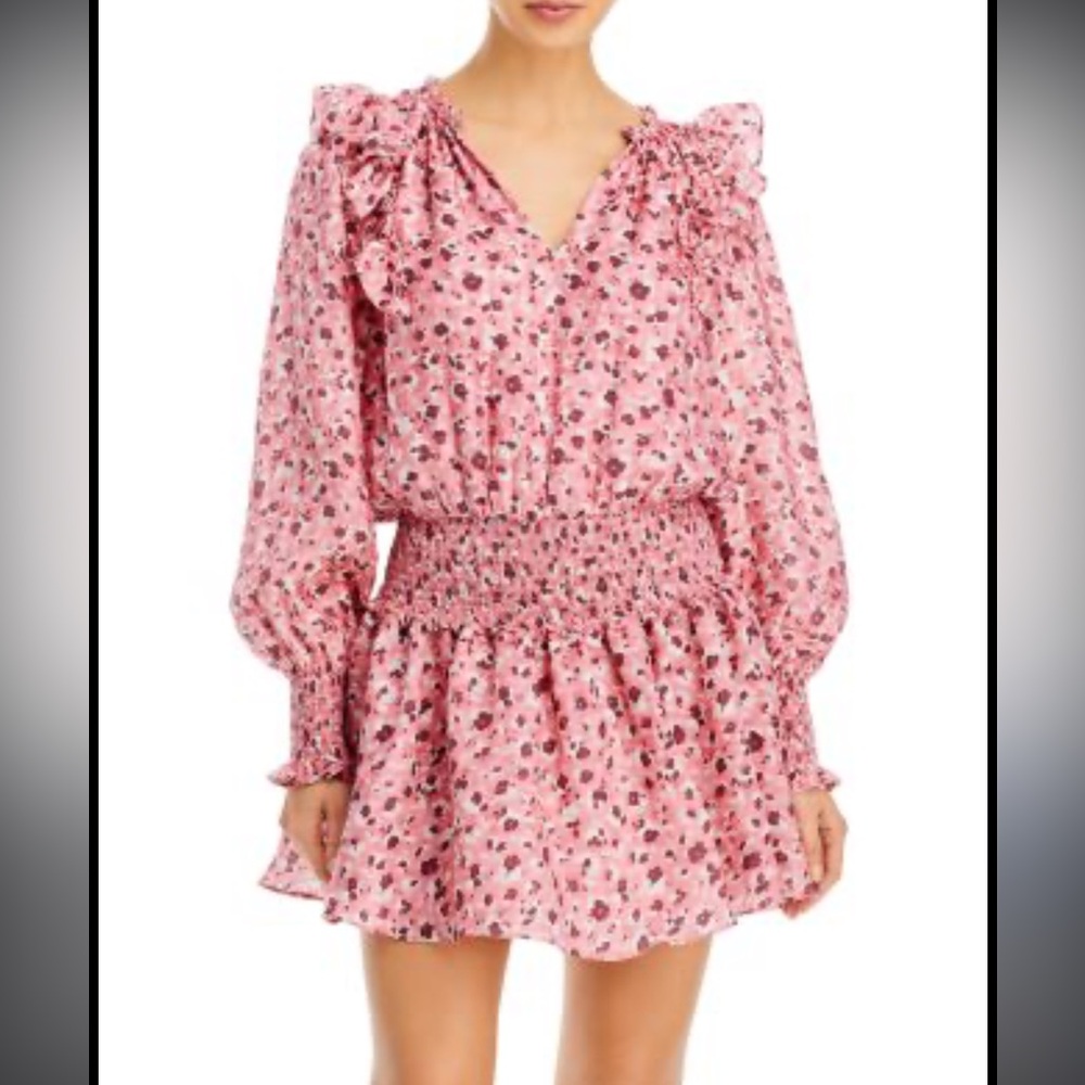 Ramy Brook Penelope Floral Pink Ruffled Dress small